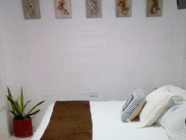 ホテル Hibiscus House San Andrés エクステリア 写真